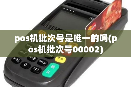 pos机批次号是唯一的吗(pos机批次号00002)
