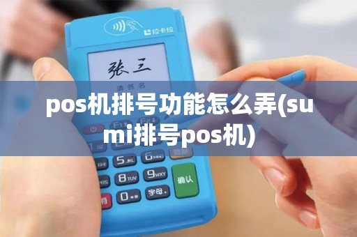 pos机排号功能怎么弄(sumi排号pos机)