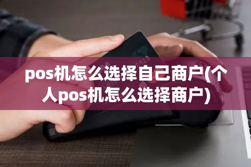 pos机怎么选择自己商户(个人pos机怎么选择商户)