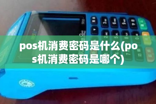 pos机消费密码是什么(pos机消费密码是哪个)