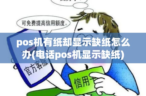 pos机有纸却显示缺纸怎么办(电话pos机显示缺纸)