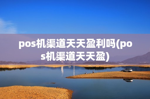 pos机渠道天天盈利吗(pos机渠道天天盈)