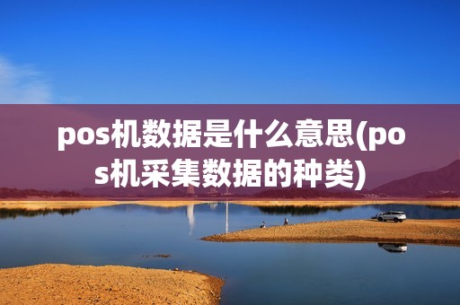 pos机数据是什么意思(pos机采集数据的种类)