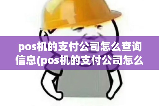 pos机的支付公司怎么查询信息(pos机的支付公司怎么查询)