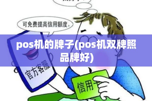 pos机的牌子(pos机双牌照品牌好)