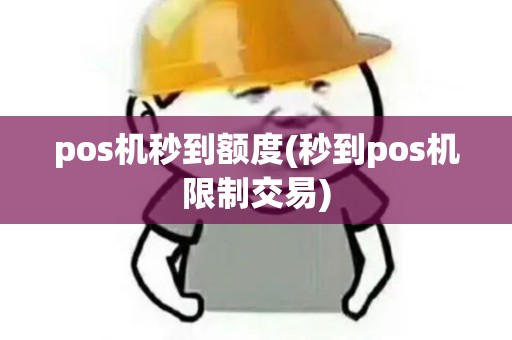 pos机秒到额度(秒到pos机限制交易)