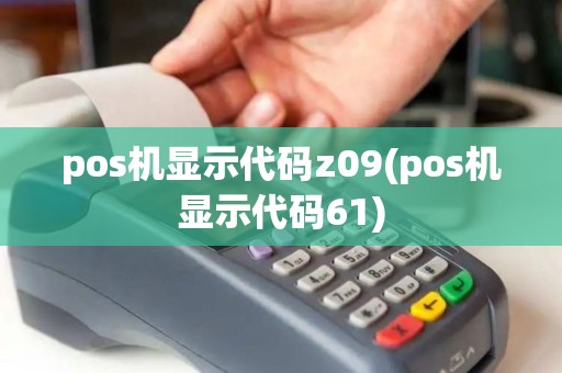 pos机显示代码z09(pos机显示代码61)