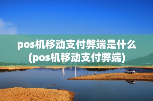 pos机移动支付弊端是什么(pos机移动支付弊端)