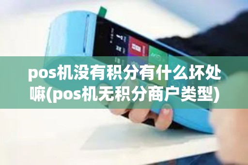 pos机没有积分有什么坏处嘛(pos机无积分商户类型)