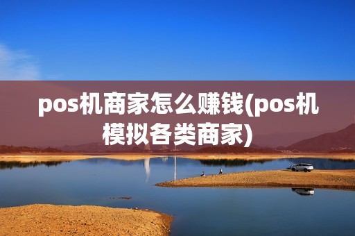 pos机商家怎么赚钱(pos机模拟各类商家)