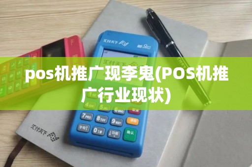 pos机推广现李鬼(POS机推广行业现状)