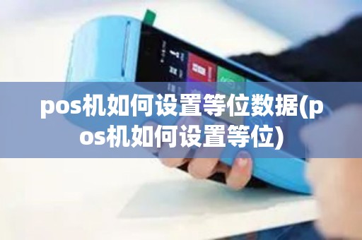 pos机如何设置等位数据(pos机如何设置等位)