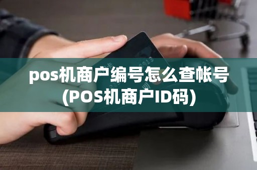 pos机商户编号怎么查帐号(POS机商户ID码)