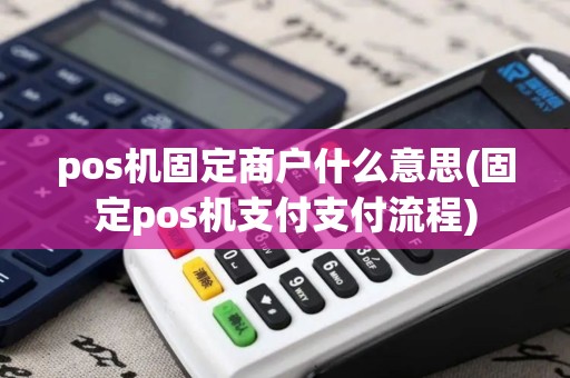 pos机固定商户什么意思(固定pos机支付支付流程)