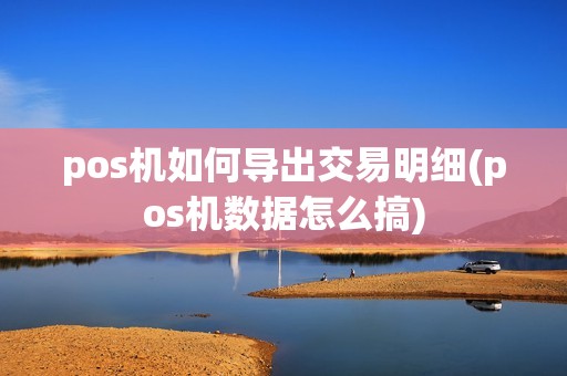 pos机如何导出交易明细(pos机数据怎么搞)