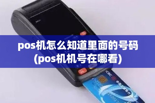 pos机怎么知道里面的号码(pos机机号在哪看)