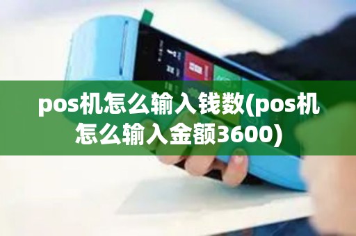 pos机怎么输入钱数(pos机怎么输入金额3600)