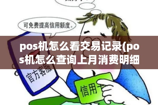 pos机怎么看交易记录(pos机怎么查询上月消费明细)