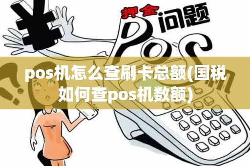 pos机怎么查刷卡总额(国税如何查pos机数额)