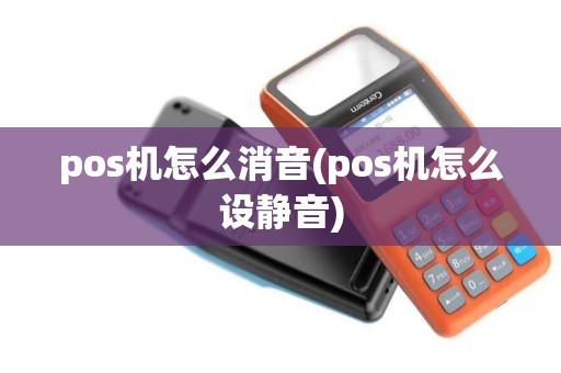 pos机怎么消音(pos机怎么设静音)