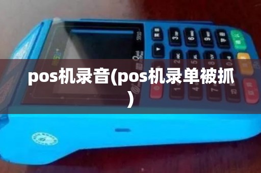 pos机录音(pos机录单被抓)