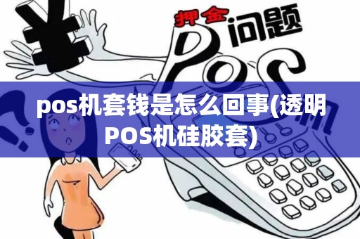pos机套钱是怎么回事(透明POS机硅胶套)