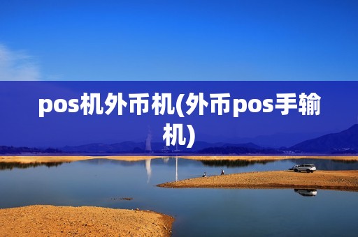 pos机外币机(外币pos手输机)