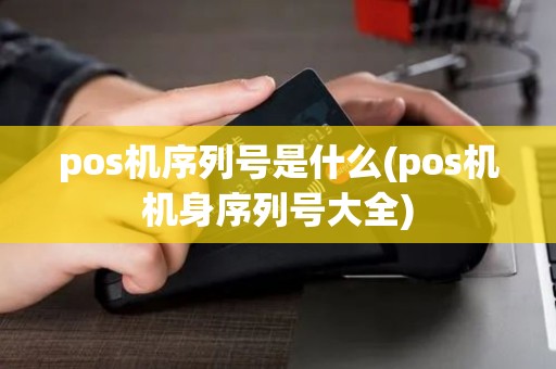 pos机序列号是什么(pos机机身序列号大全)
