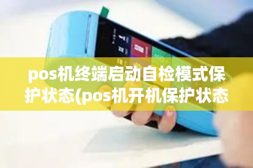 pos机终端启动自检模式保护状态(pos机开机保护状态)