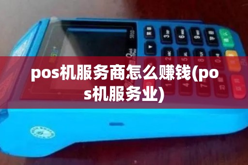pos机服务商怎么赚钱(pos机服务业)