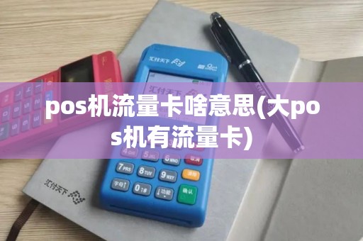 pos机流量卡啥意思(大pos机有流量卡)