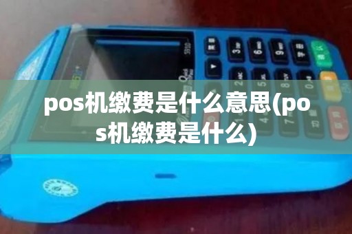 pos机缴费是什么意思(pos机缴费是什么)