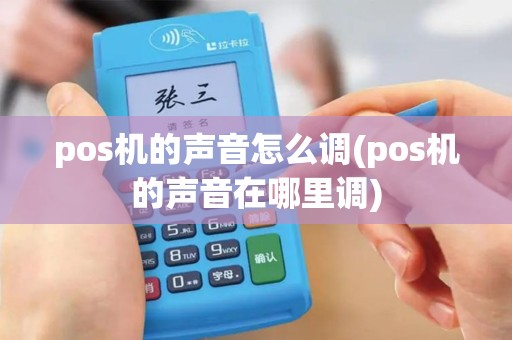 pos机的声音怎么调(pos机的声音在哪里调)