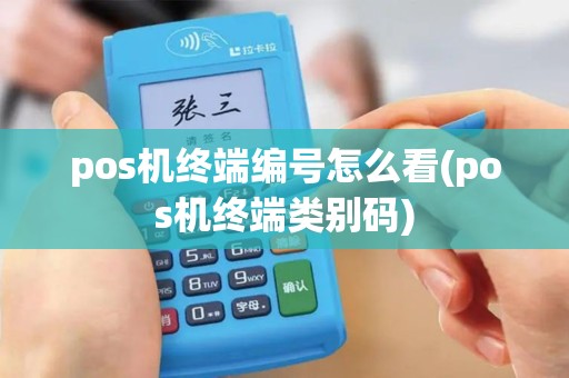 pos机终端编号怎么看(pos机终端类别码)