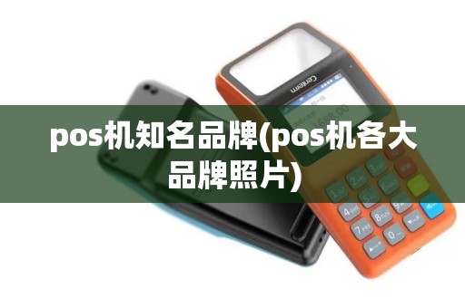 pos机知名品牌(pos机各大品牌照片)