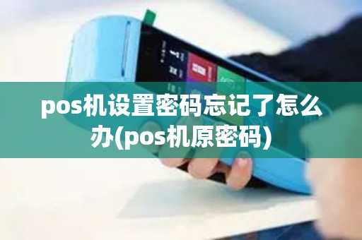 pos机设置密码忘记了怎么办(pos机原密码)