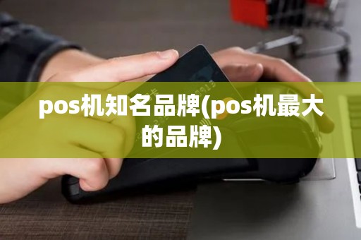 pos机知名品牌(pos机最大的品牌)