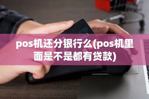 pos机还分银行么(pos机里面是不是都有贷款)
