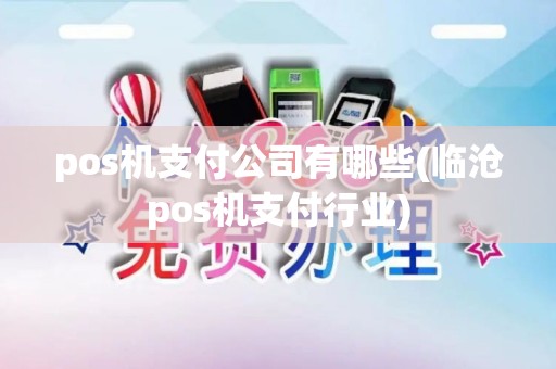 pos机支付公司有哪些(临沧pos机支付行业)