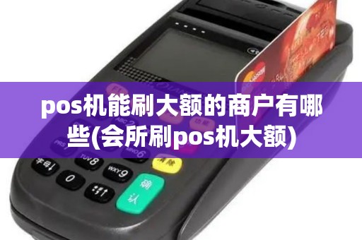 pos机能刷大额的商户有哪些(会所刷pos机大额)