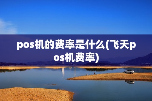 pos机的费率是什么(飞天pos机费率)