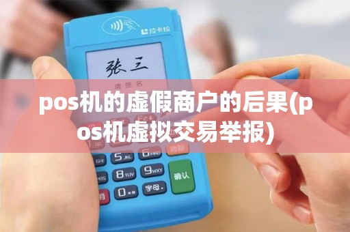 pos机的虚假商户的后果(pos机虚拟交易举报)