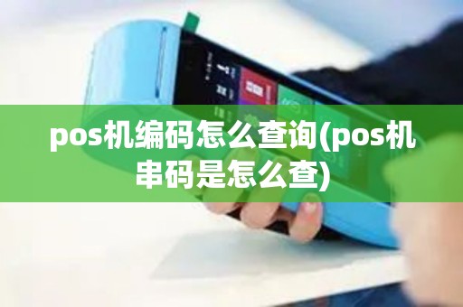 pos机编码怎么查询(pos机串码是怎么查)