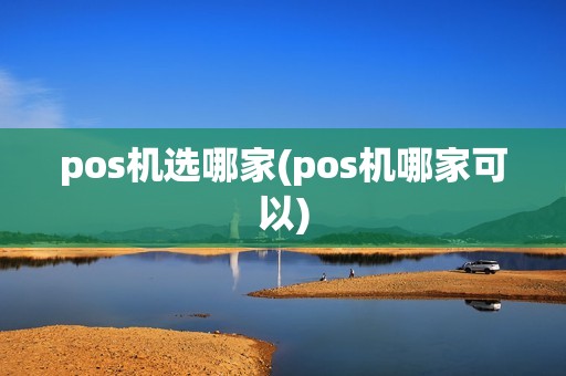pos机选哪家(pos机哪家可以)