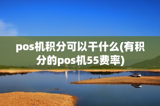 pos机积分可以干什么(有积分的pos机55费率)