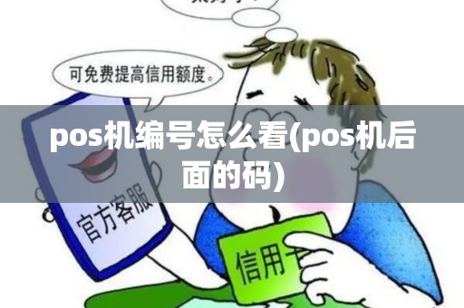 pos机编号怎么看(pos机后面的码)