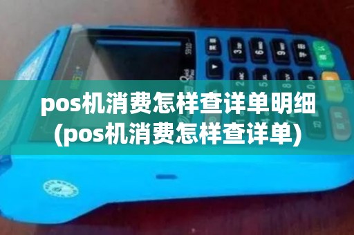 pos机消费怎样查详单明细(pos机消费怎样查详单)