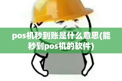 pos机秒到账是什么意思(能秒到pos机的软件)