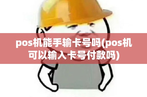 pos机能手输卡号吗(pos机可以输入卡号付款吗)
