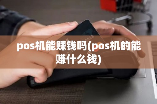 pos机能赚钱吗(pos机的能赚什么钱)
